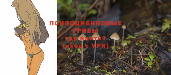 MESCALINE Бородино